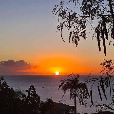 Ti Sucrier Jaune - Douceur Caraibe Vue Mer ル・カルベ エクステリア 写真