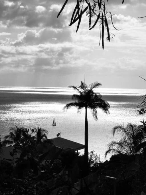Ti Sucrier Jaune - Douceur Caraibe Vue Mer ル・カルベ エクステリア 写真