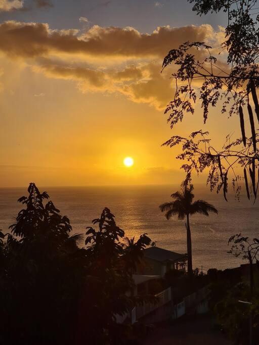 Ti Sucrier Jaune - Douceur Caraibe Vue Mer ル・カルベ エクステリア 写真