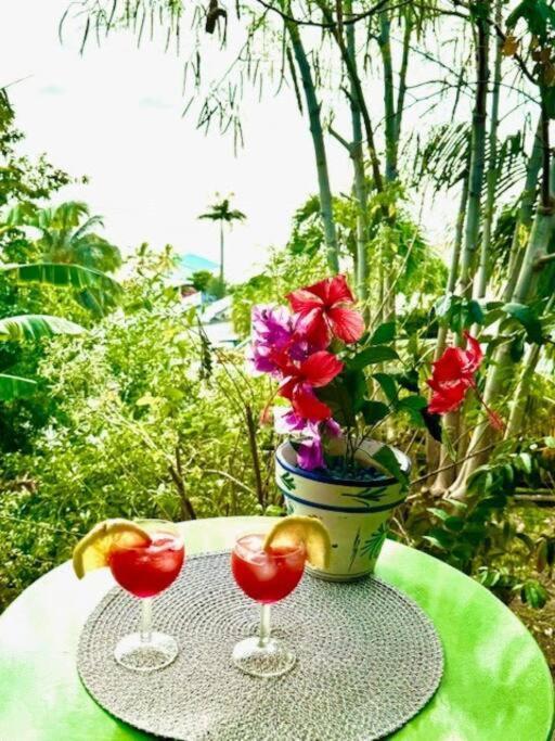 Ti Sucrier Jaune - Douceur Caraibe Vue Mer ル・カルベ エクステリア 写真