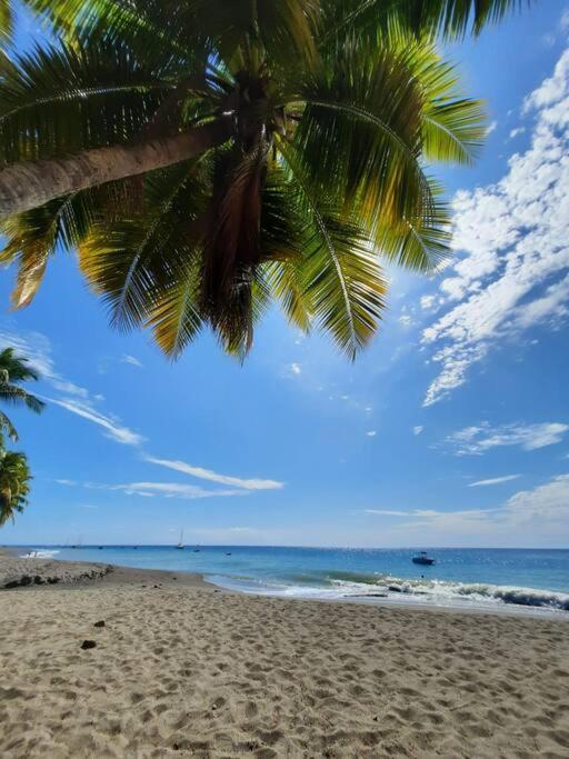 Ti Sucrier Jaune - Douceur Caraibe Vue Mer ル・カルベ エクステリア 写真