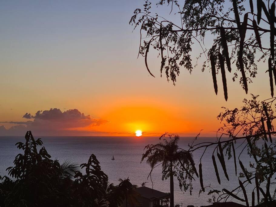Ti Sucrier Jaune - Douceur Caraibe Vue Mer ル・カルベ エクステリア 写真