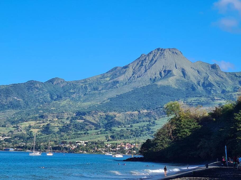 Ti Sucrier Jaune - Douceur Caraibe Vue Mer ル・カルベ エクステリア 写真