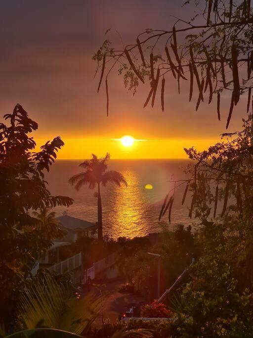 Ti Sucrier Jaune - Douceur Caraibe Vue Mer ル・カルベ エクステリア 写真
